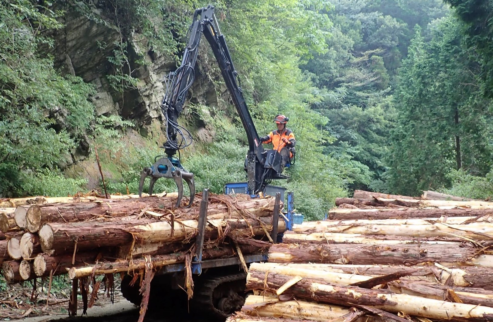 フォワーダによる木材運搬作業